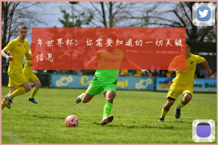 年世界杯：你需要知道的一切关键信息